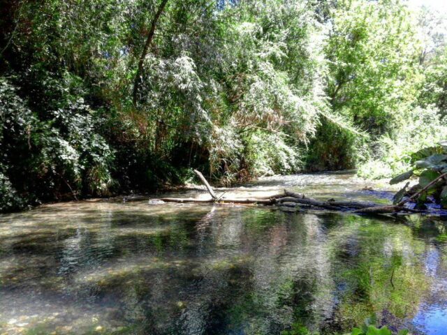 Fiume FARFA