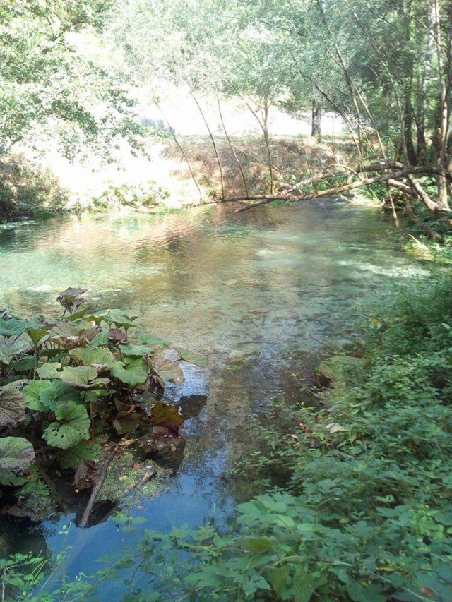 Fiume FARFA