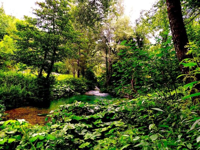 Fiume FARFA