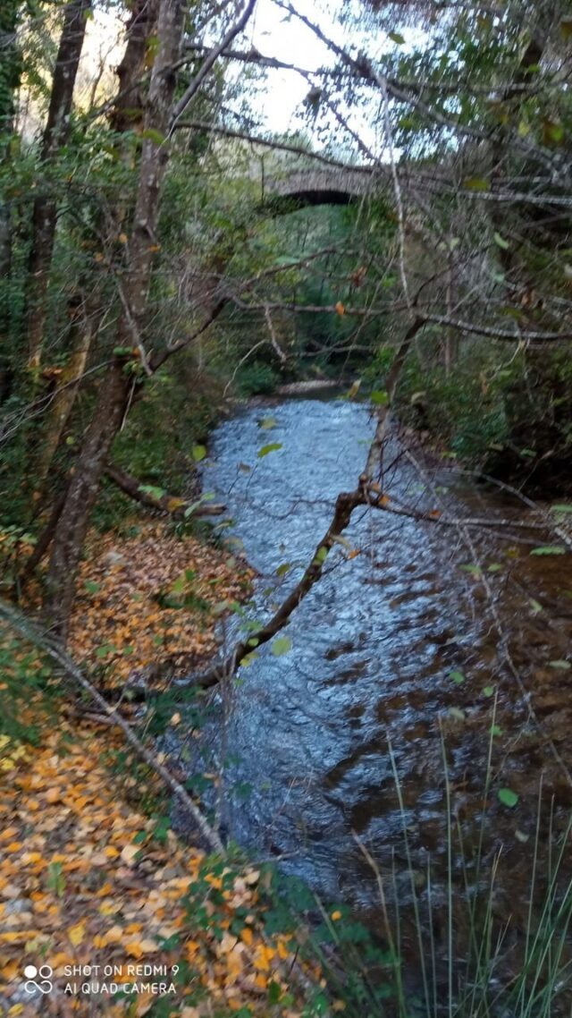 Fiume FARFA