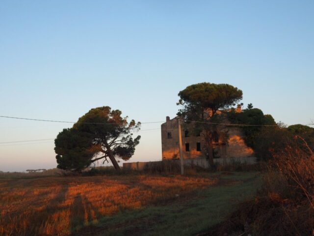 Campagna Romana-Il sorgere del sole agosto 2022 -