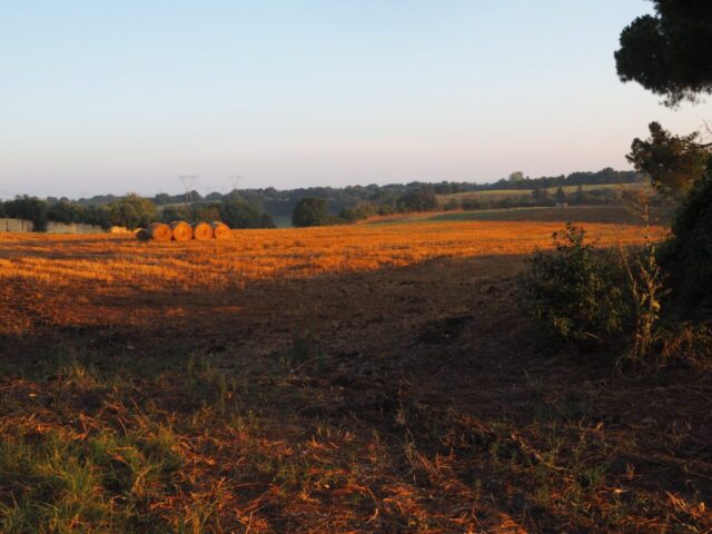 Campagna Romana-Il sorgere del sole agosto 2022 -