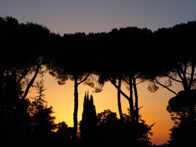 Campagna Romana-Il sorgere del sole agosto 2022 -