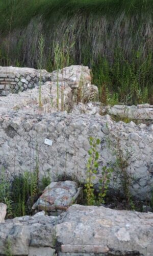 Indagini archeologiche Via Aurelia-Località Malagrotta(2011-2013)