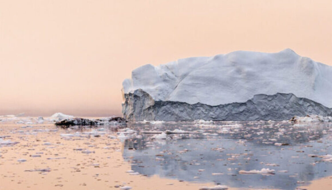 Tanguy Viel- Iceberg -
