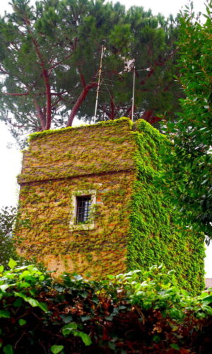 Roma-Torretta TROILI
