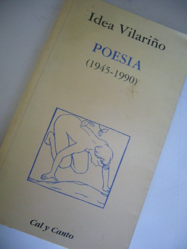 Idea Vilariño