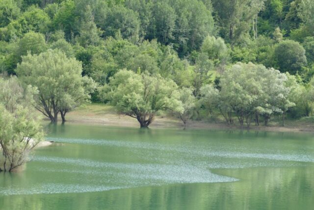Lago del Salto