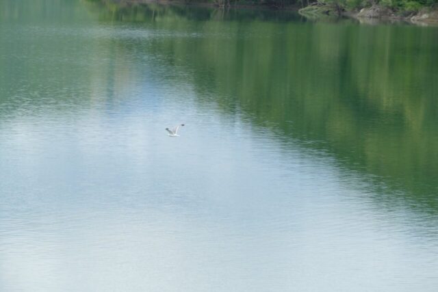 Lago del Salto