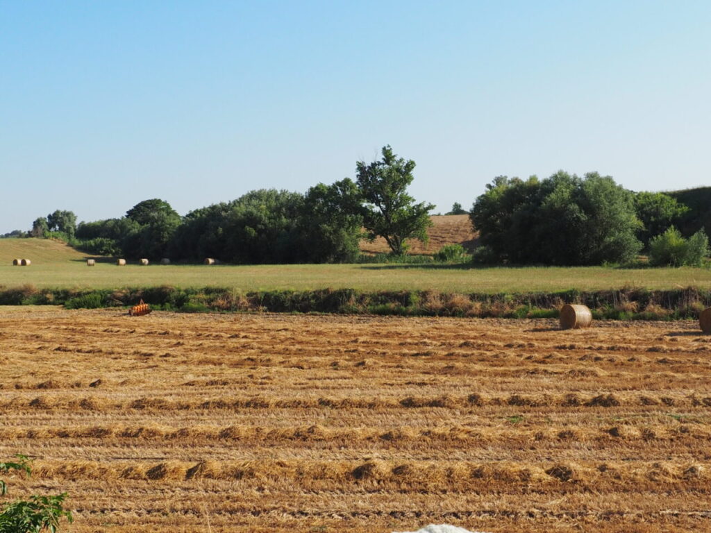 Franco Leggeri Fotoreportage  Campagna Romana luglio 2023