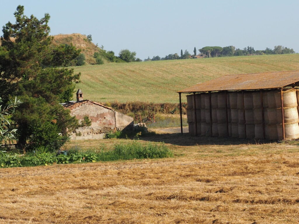 Franco Leggeri Fotoreportage  Campagna Romana luglio 2023