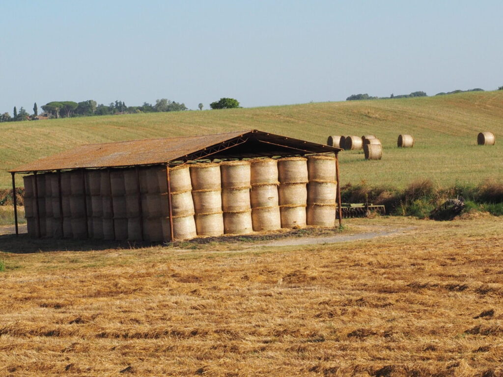 Franco Leggeri Fotoreportage  Campagna Romana luglio 2023