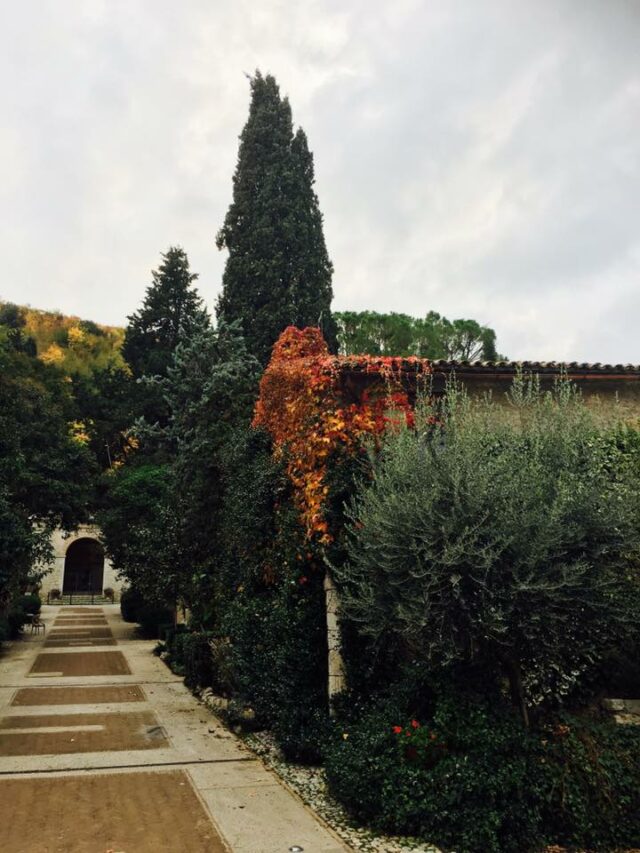 Paolo Genovesi Fotoreportage:"Farfa in Autunno"