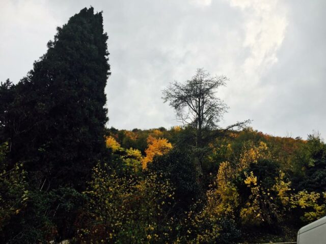 Paolo Genovesi Fotoreportage:"Farfa in Autunno"