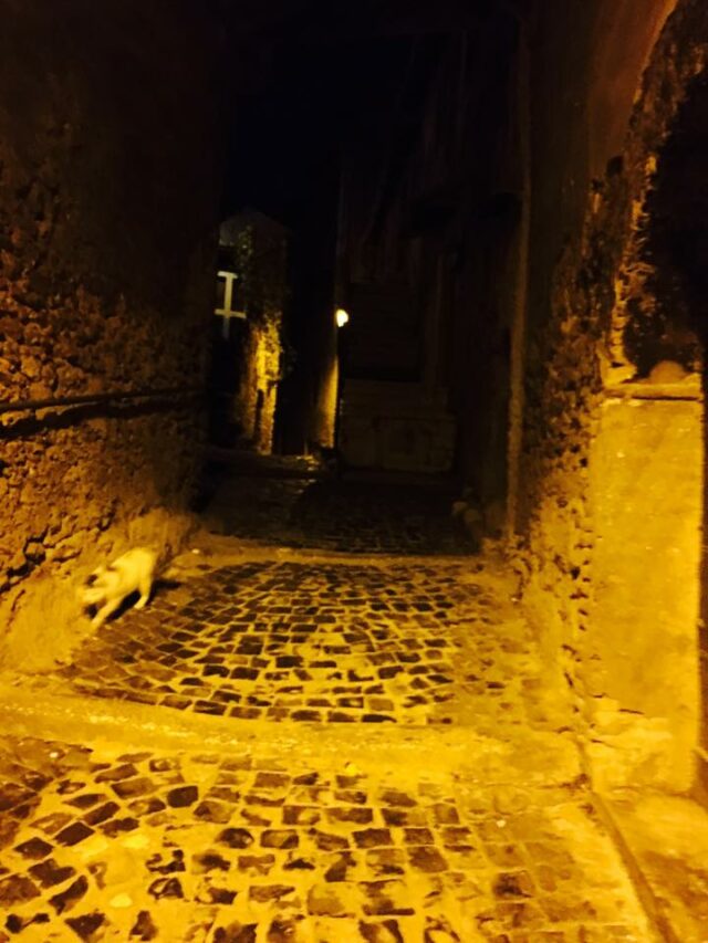 Paolo Genovesi Fotoreportage: “Palombara Sabina by night “