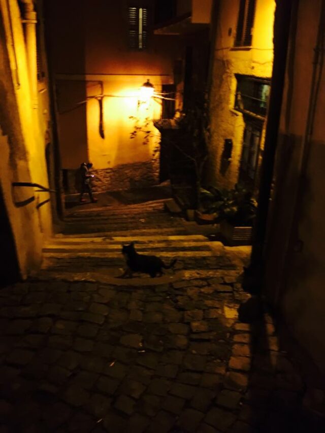 Paolo Genovesi Fotoreportage: “Palombara Sabina by night “