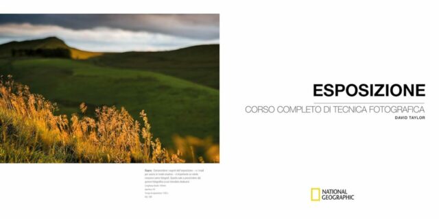 David Taylor-Esposizione- 