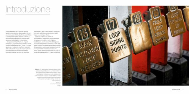 David Taylor-Esposizione- 