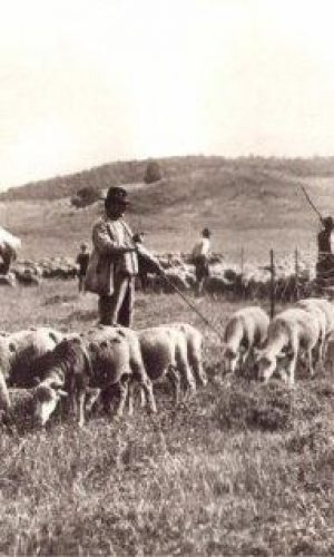 PASTORI-copia